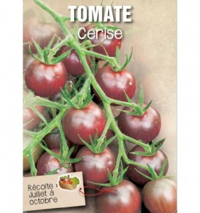 TOMATE CERISE