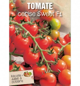 TOMATE CERISE SWEET F1