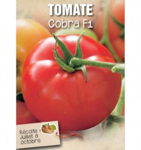 TOMATE COBRA F1