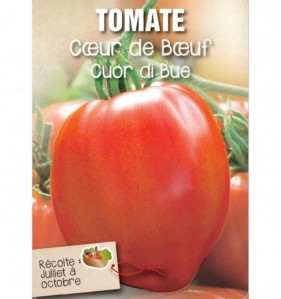 TOMATE CÎUR DE BÎUF (TOMATE CUOR DI BUE)