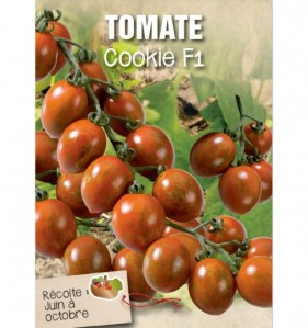 TOMATE COOKIE F1