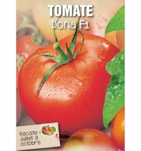 TOMATE DONA F1