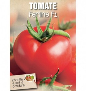 TOMATE FERLINE F1