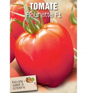 TOMATE FLEURETTE F1