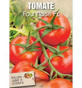 TOMATE FOURNAISEÊF1