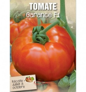 TOMATE GARANCE F1