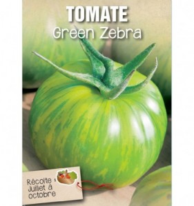 TOMATE GREEN ZEBRA