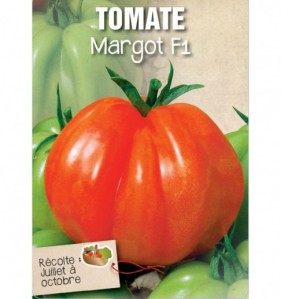 TOMATE MARGOT F1