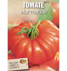 TOMATE MARMANDE