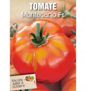 TOMATE MONTECARLO F1