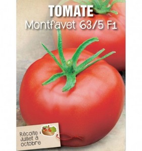 TOMATE MONTFAVET 63/5 F1