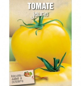 TOMATE JAUNE