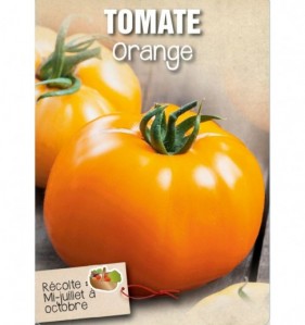 TOMATE ORANGE