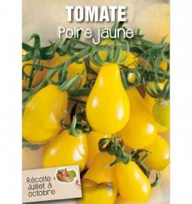 TOMATE POIRE JAUNE