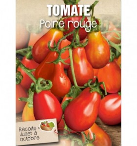 TOMATE POIRE ROUGE