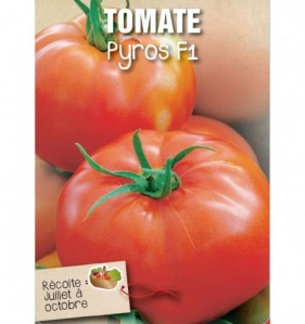 TOMATE PYROS F1