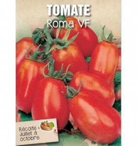 TOMATE ROMA VF