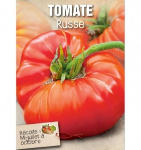 TOMATE RUSSE