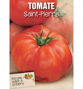 TOMATE SAINT-PIERRE