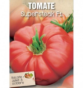 TOMATE SUPERSTEAK F1