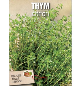 THYM CITRON