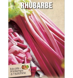 RHUBARBE