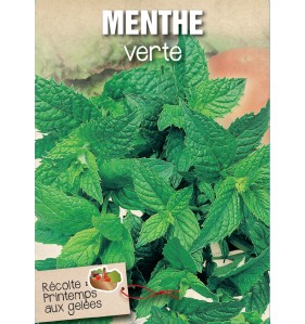 MENTHE VERTE