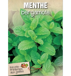 MENTHE BERGAMOTE