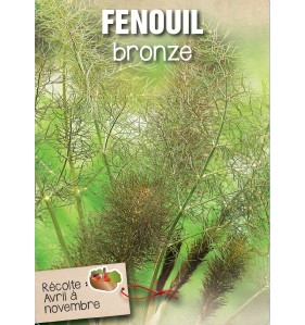 FENOUIL BRONZE