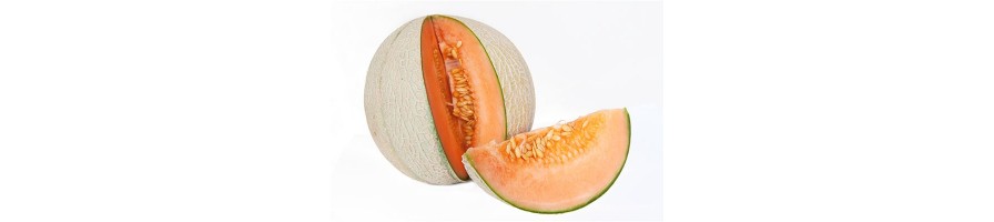 Melon