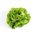 Salade